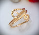 Anillo chapa.